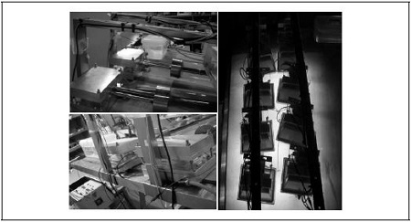 Fig. 10
