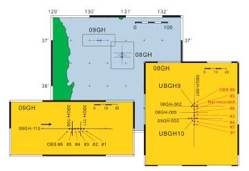 Fig. 10.