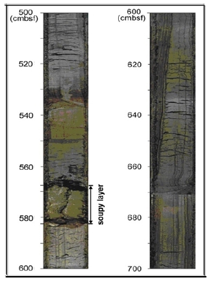 Fig. 3. Fig. 3.