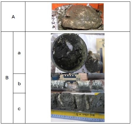 Fig. 9.