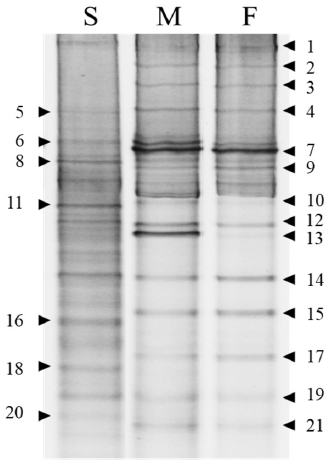 Fig. 5. Fig. 5.