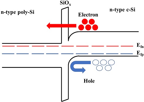 Fig. 1. Fig. 1.