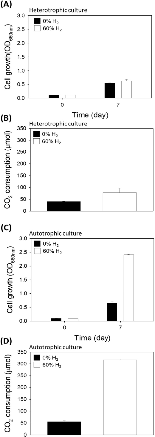 Fig. 2. Fig. 2.
