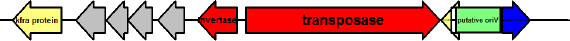 Fig. 4. Fig. 4.