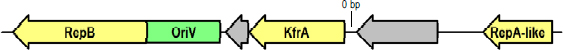 Fig. 8.