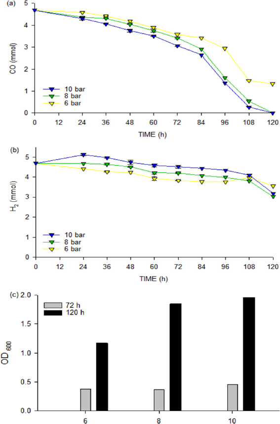 Fig. 7. Fig. 7.