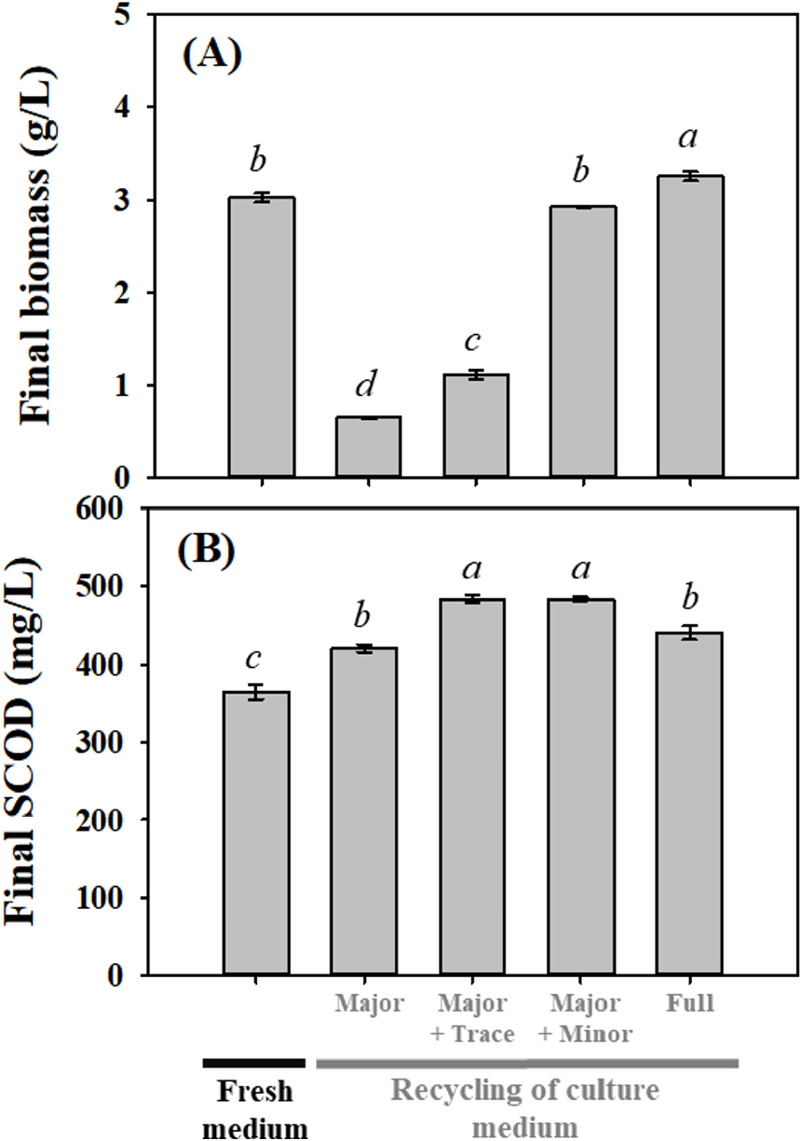 Fig. 2. Fig. 2.