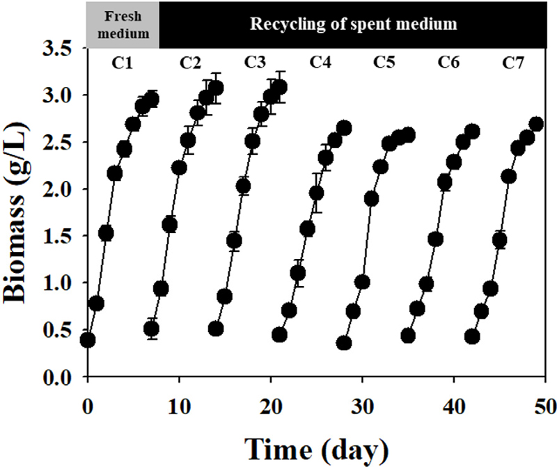 Fig. 3. Fig. 3.