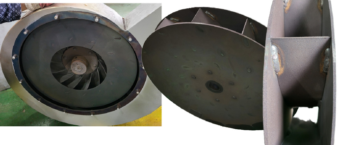 Fig. 6.