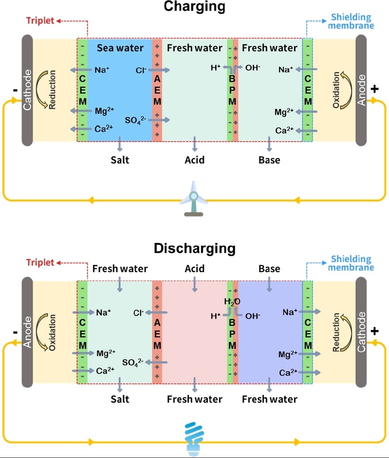 Fig. 2. Fig. 2.