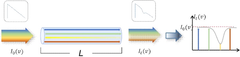 Fig. 1. Fig. 1.